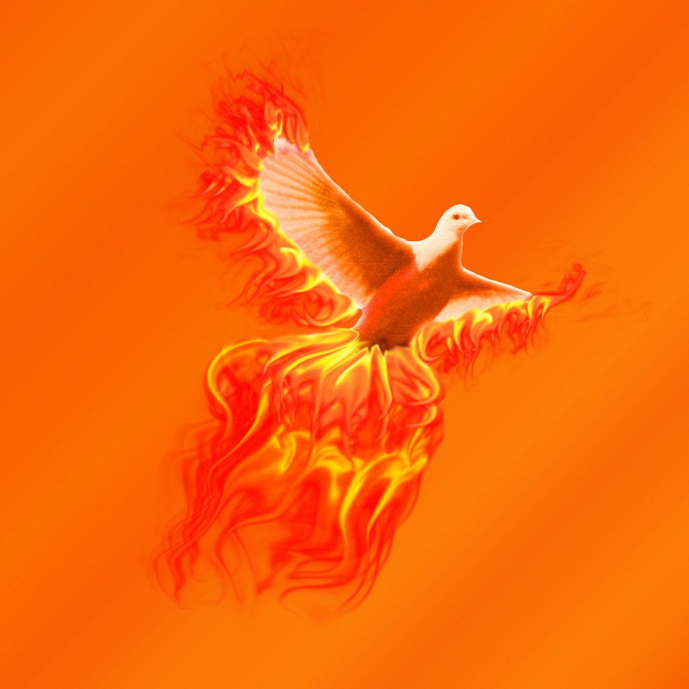 Rise Like a Phoenix 10 Ideas to Pivot Your Life Tamara Lea Patrick NLP coach